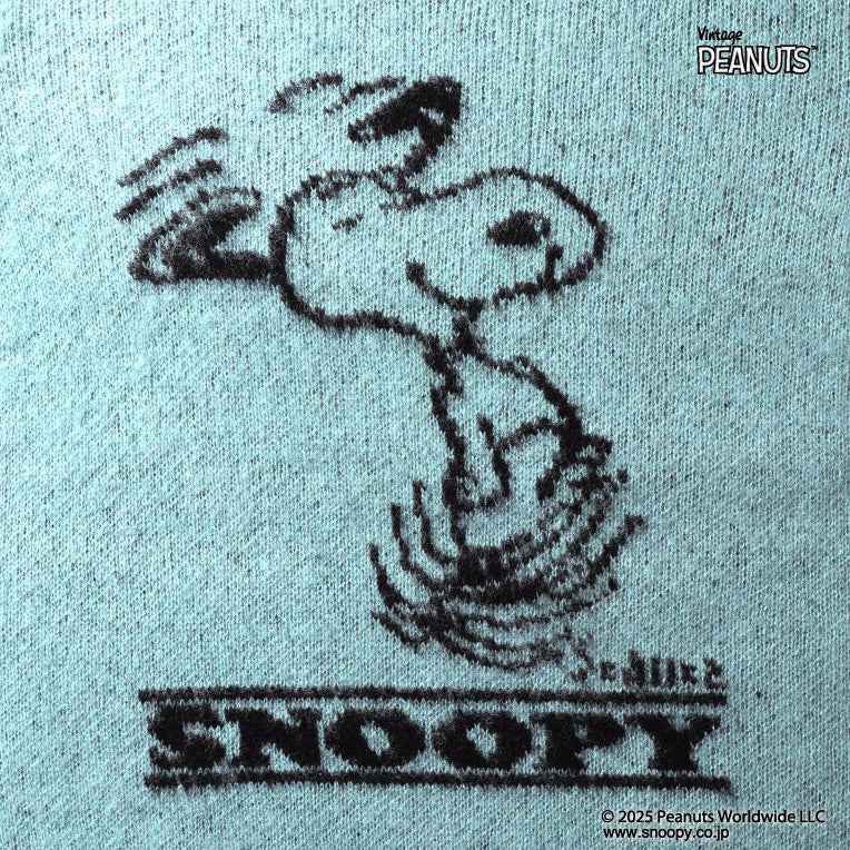 HOUSTON / 22346 PEANUTS MOHAIR WOOL SWEATER (SNOOPY) SAX&GRAY