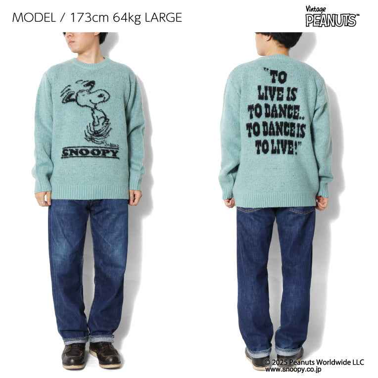 HOUSTON / 22346 PEANUTS MOHAIR WOOL SWEATER (SNOOPY) SAX&GRAY