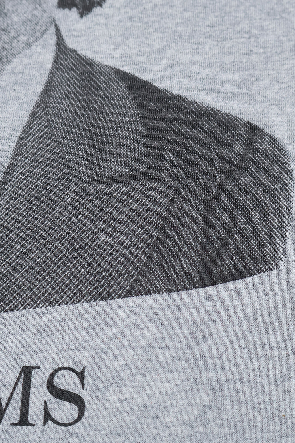 HOUSTON / 22419 HIGH MESH PRINT TEE (BRAHAMS)