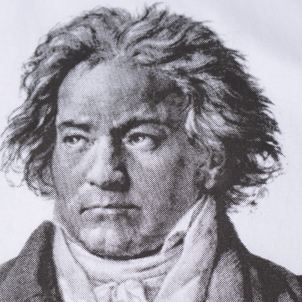 HOUSTON / 22417 HIGH MESH PRINT TEE (BEETHOVEN)