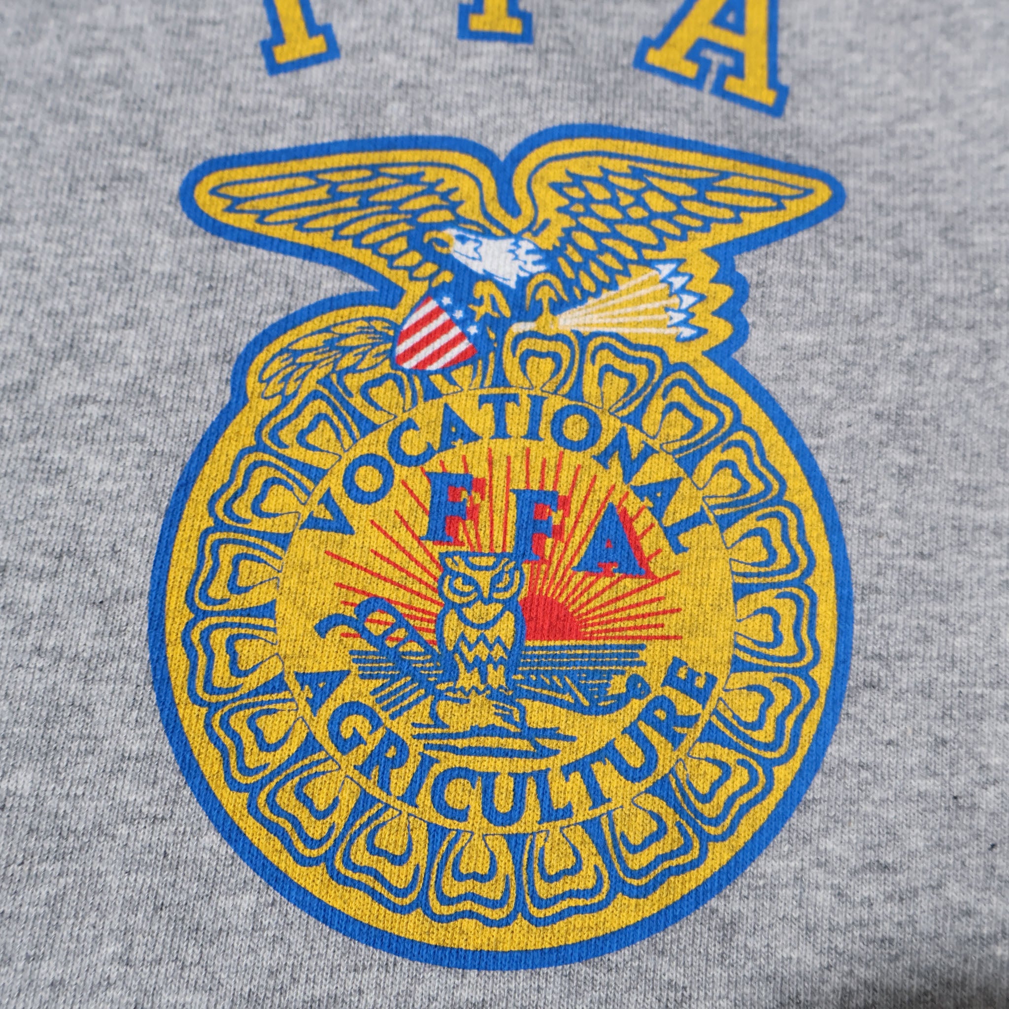HOUSTON / 22452 PRINT RINGER TEE (FFA) - TRUTH