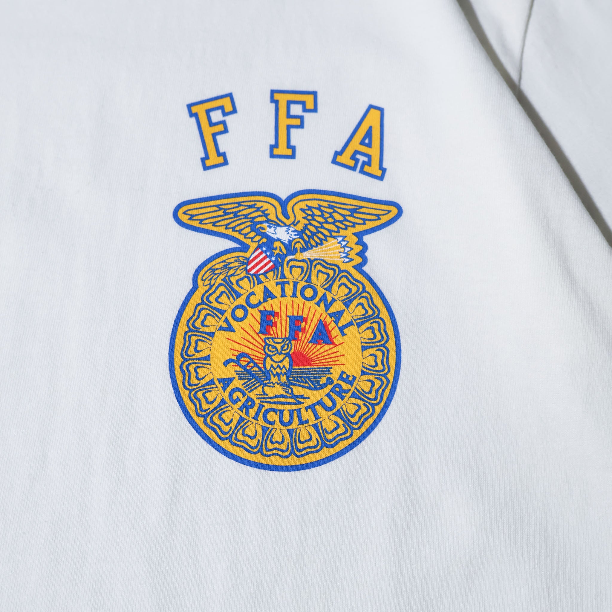 HOUSTON / 22452 PRINT RINGER TEE (FFA) - TRUTH