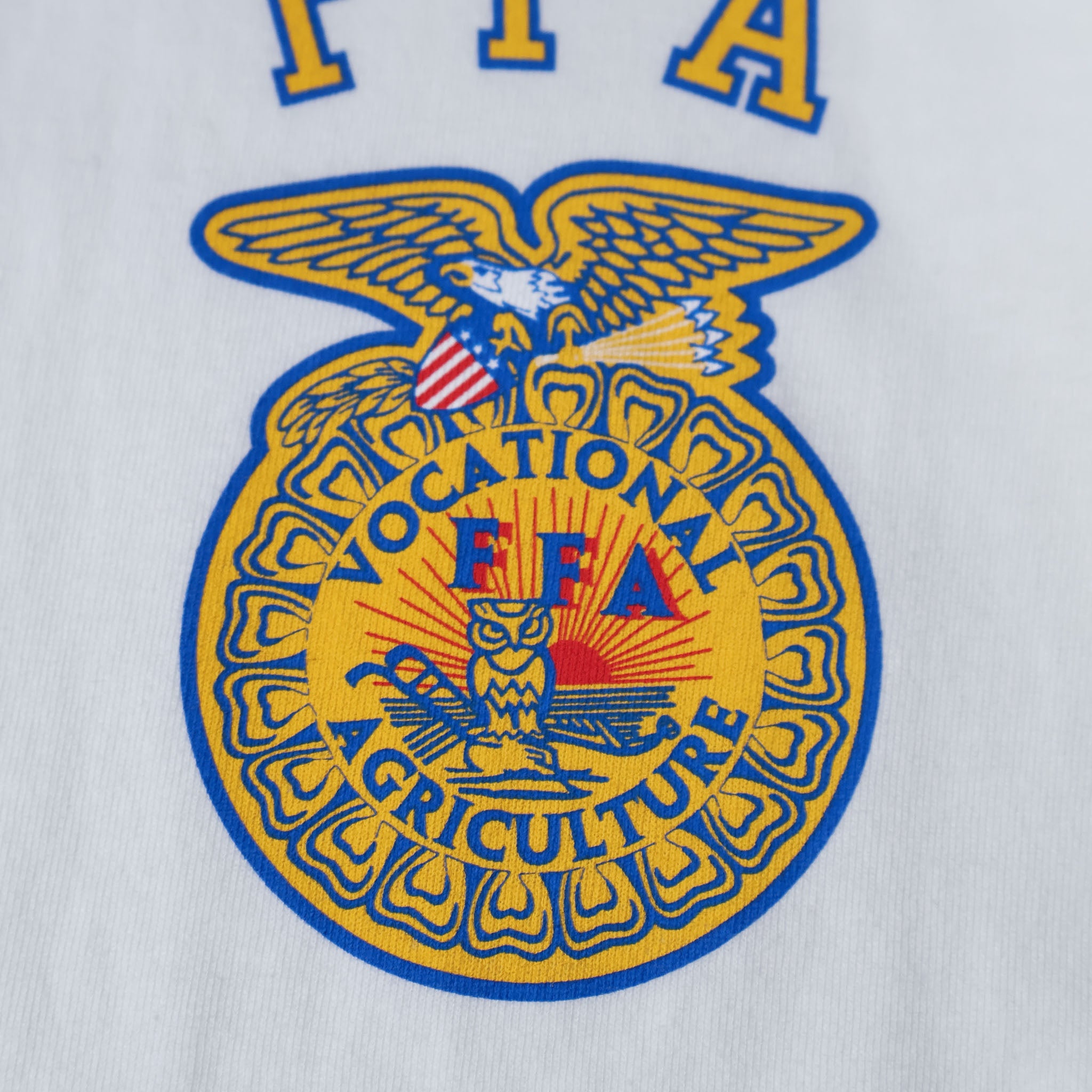 HOUSTON / 22452 PRINT RINGER TEE (FFA) - TRUTH