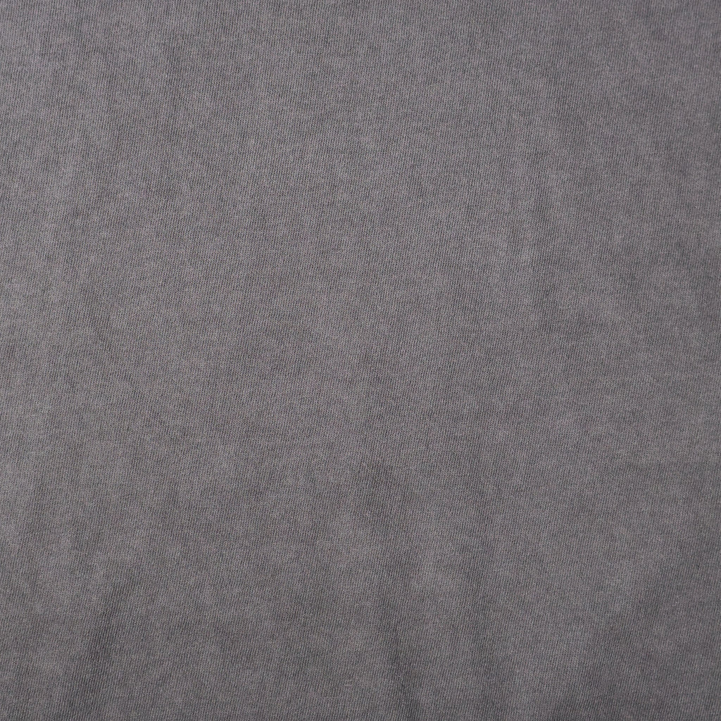HOUSTON / 22440 PIGMENT PRINT TEE (FLYING TIGER) - TRUTH