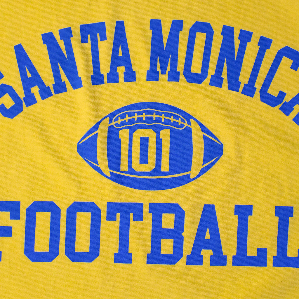 HOUSTON / 22436 PIGMENT PRINT TEE (SANTA MONICA) - TRUTH