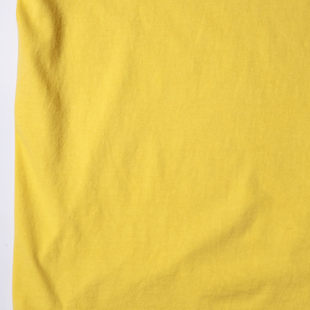 HOUSTON / 22436 PIGMENT PRINT TEE (SANTA MONICA) - TRUTH