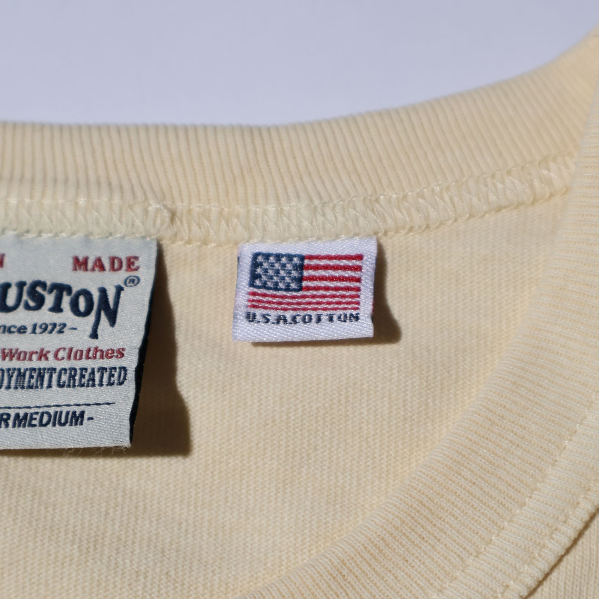 HOUSTON / 22395 PIGMENT U.S.COTTON PRINT TEE (TIGER) - TRUTH