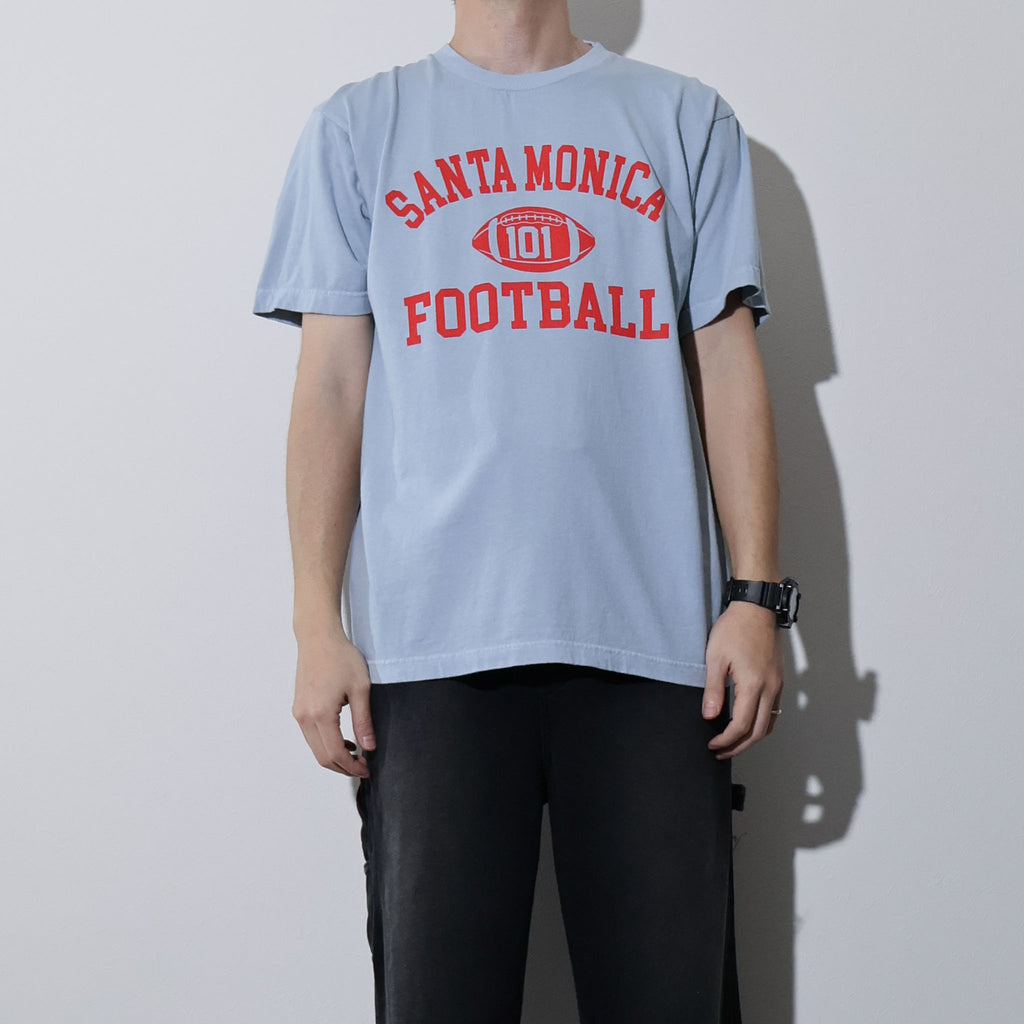 HOUSTON / 22436 PIGMENT PRINT TEE (SANTA MONICA) - TRUTH