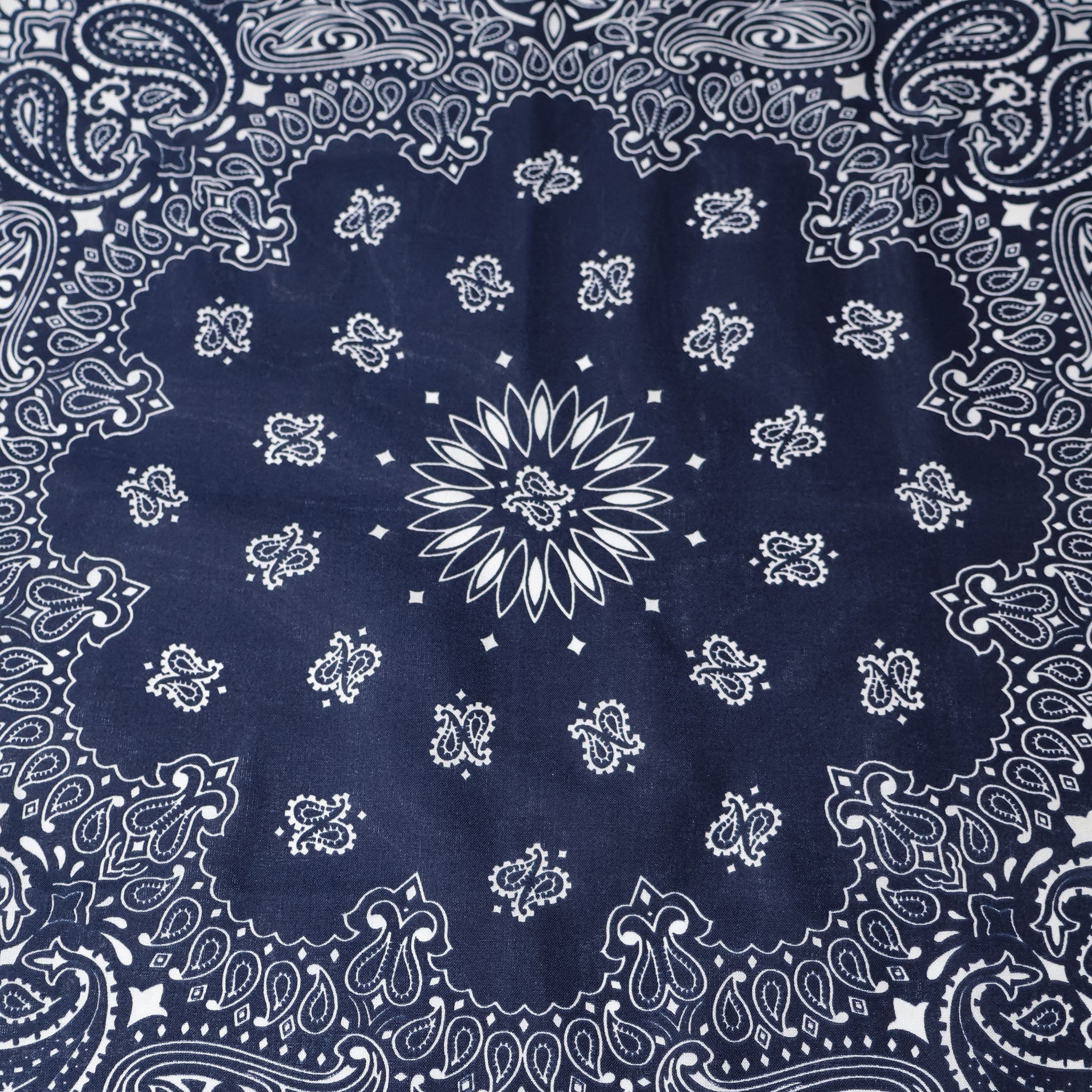 HAV-A-HANK / BANDANNA