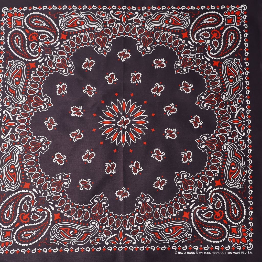 HAV-A-HANK / BANDANNA