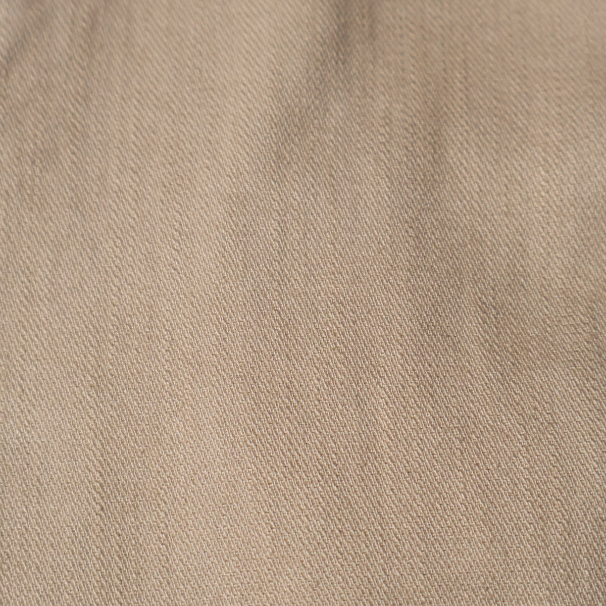 NEO BLUE / BAGGY CHINO CARGO PANTS