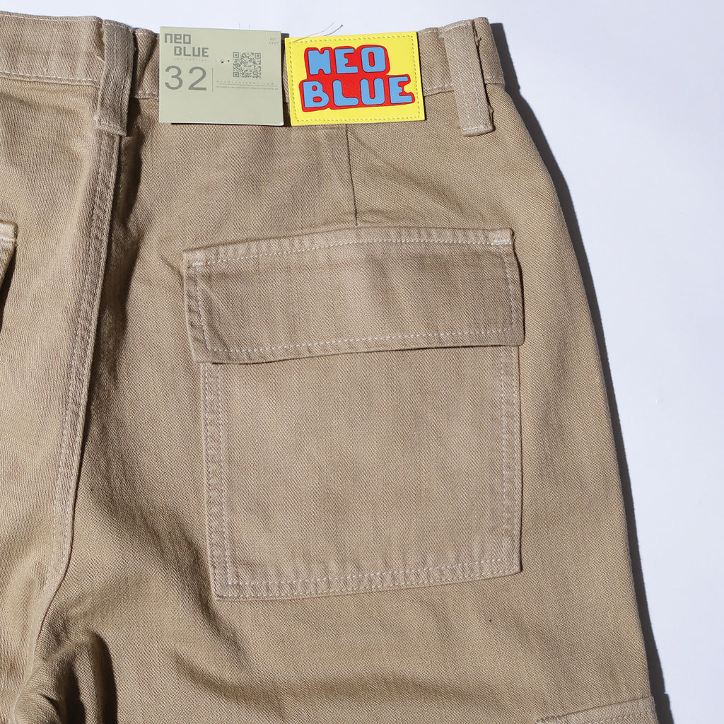 NEO BLUE / BAGGY CHINO CARGO PANTS