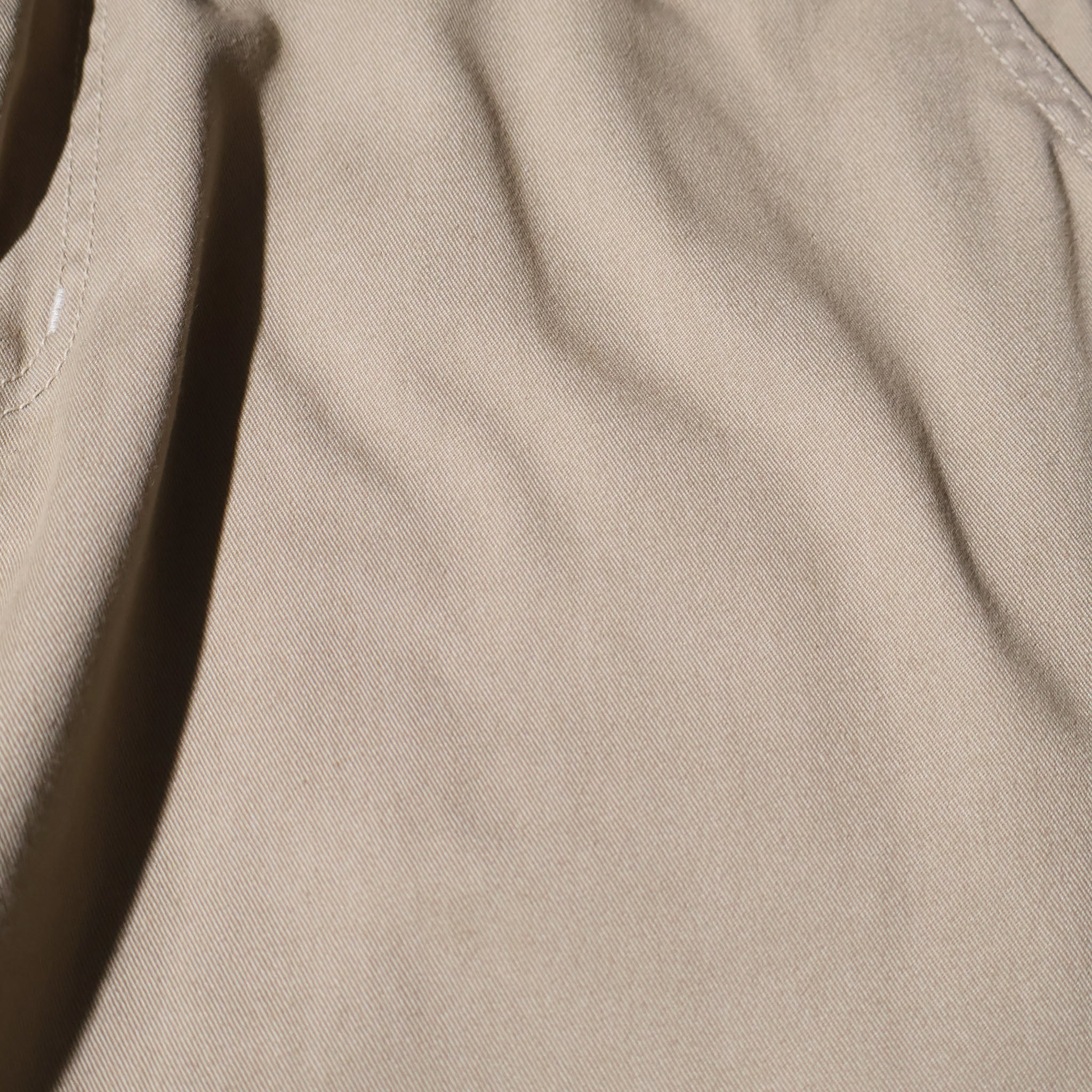 NEO BLUE / BAGGY CHINO PANTS BEIGE